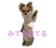 566535093