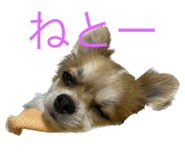 566535097