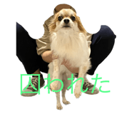 566535102