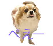 566535104