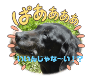 566537318