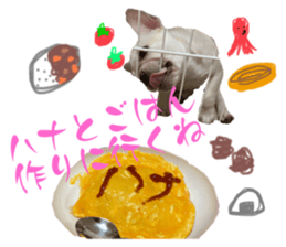 566537526