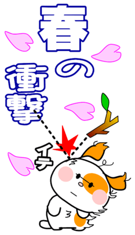566538407