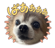 566553074