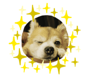 566553076