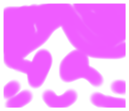 566556054