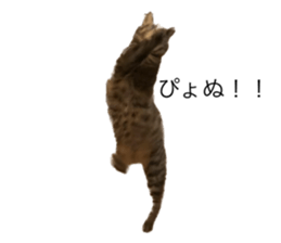 566556887
