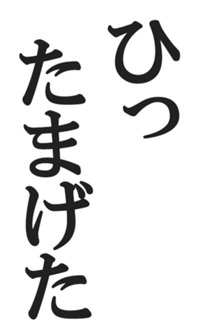 566563243