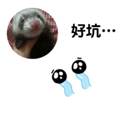 566565306