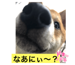 566584452