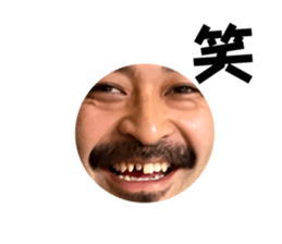 566584686