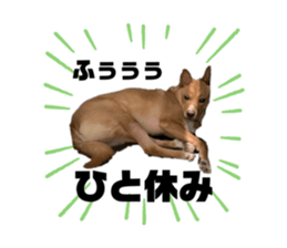 566584696