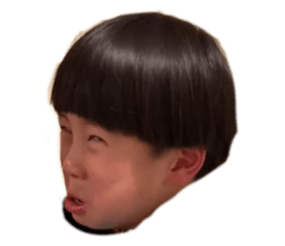 566586338