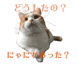 566586687