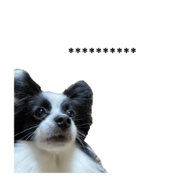 566601686