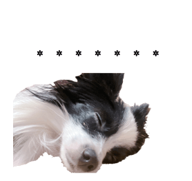 566601687