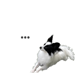 566601689