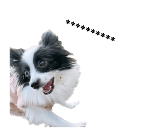 566601690