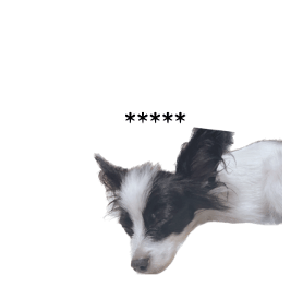 566601696