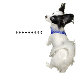 566601698