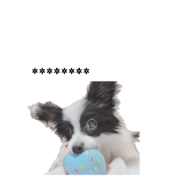 566601700