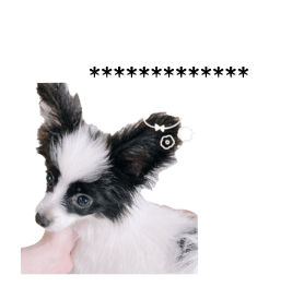 566601701