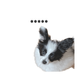 566601706