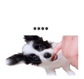 566601707