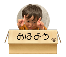 566603187