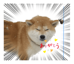 566603346
