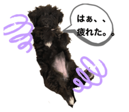 566604327