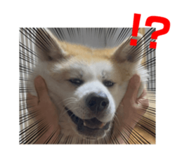 566606882