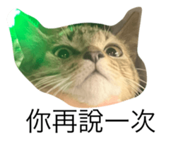 566625420