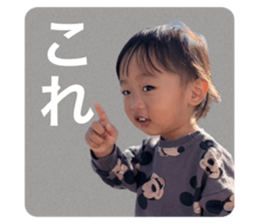 566639392