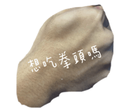 566676360