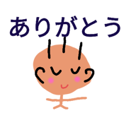 566687247