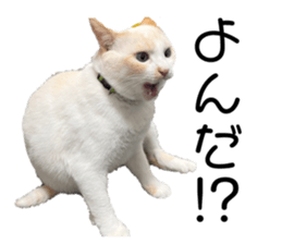 566694112