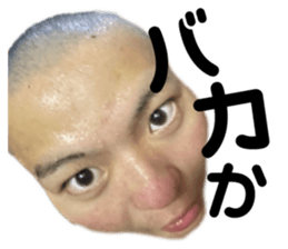 566710157