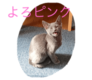 566713580