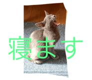566713602