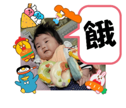 566753026