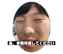 566753384