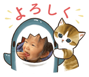 566753647
