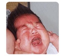 566779037