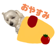 566783206