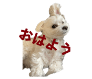 566783212