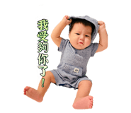 566804991