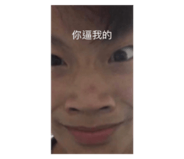 566819555