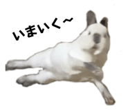 566831997