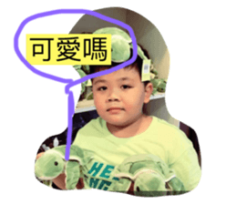 566840087